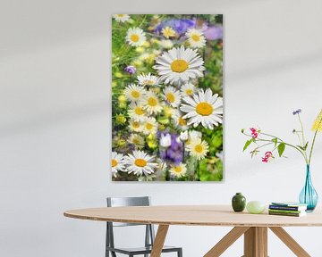 Summer garden with daisies by Corinne Welp