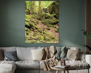 Forêts et mousses dans la région de l'Eifel, Allemagne sur Eugenio Eijck