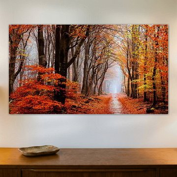 Au fond de Neldoreth