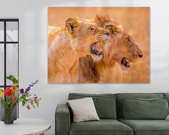 Aperçu de la chambre