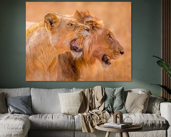 Aperçu de la chambre