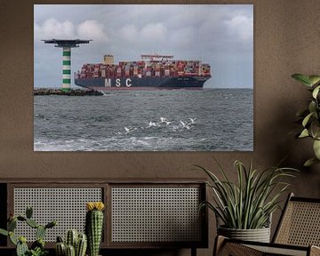 MSC Reef Containerschiff. von Jaap van den Berg