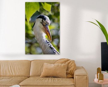 Closeup van een blauwe reiger van Chihong