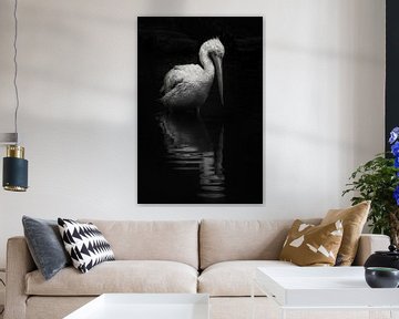 Rustgevend beeld van een witte pelikaan in het water