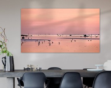 Seagulls at sunset at low tide on the Baltic Sea by Martin Köbsch