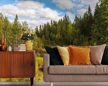 Swedish landscape with water by Geertjan Plooijer