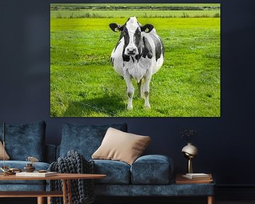 schilderij zwart witte koe, , boerderij, vee, koeien, boerderij dieren, runderen van M. B. fotografie