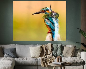 IJsvogel print met een dorp op de rug van Martijn Schrijver