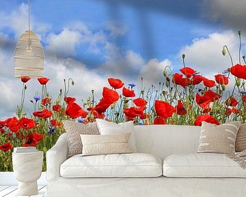 Poppy panorama by Ostsee Bilder