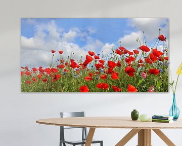 Poppy panorama by Ostsee Bilder