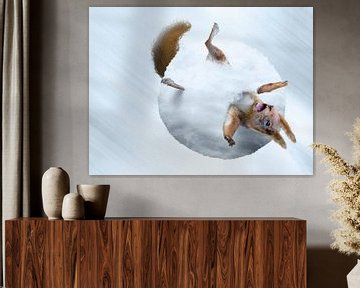Eichhörnchen Schneeball von Martijn Schrijver