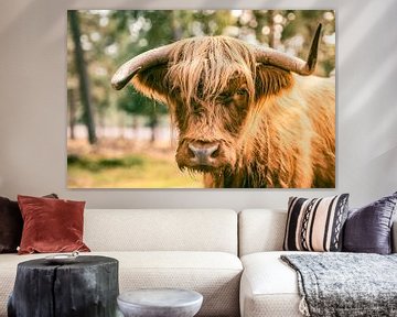 Portrait d'un bovin écossais des Highlands avec de drôles de cornes sur Sjoerd van der Wal Photographie