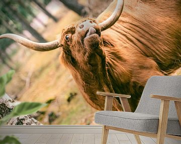 Schottisches Hochlandrind streckt seine Zunge in einer Naturaufnahme heraus von Sjoerd van der Wal Fotografie