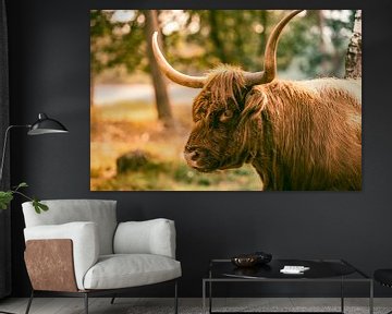 Portret van een Schotse hooglander in een natuurreservaat van Sjoerd van der Wal Fotografie