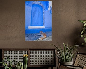poes in chefchaouen