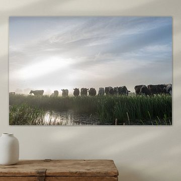 Guten Morgen, Kühe im Nebel