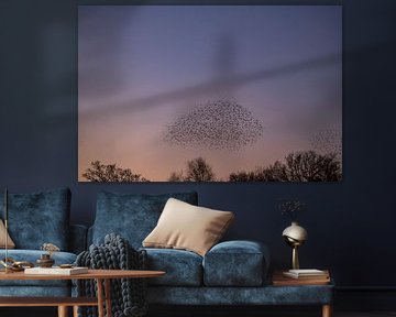 Murmure d'étourneaux et oiseaux volants dans le ciel au coucher du soleil sur Sjoerd van der Wal Photographie