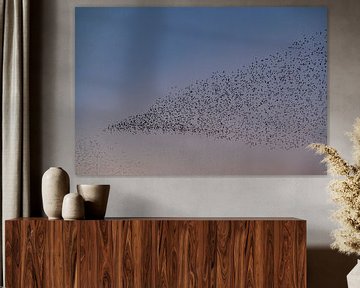 Spreeuwen zwerm met vliegende vogels in de lucht tijdens zonsondergang van Sjoerd van der Wal Fotografie