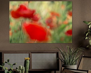 Cheerful impression of flowering poppies by Birgitte Bergman