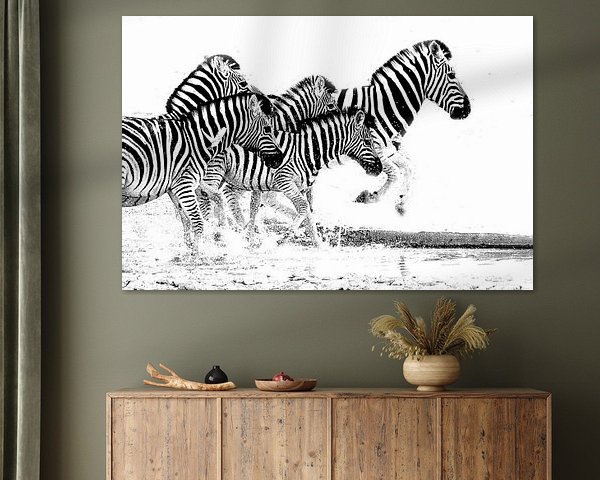 laufende Zebras 