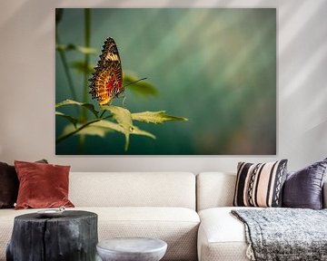 Colourful Butterfly van Shanna van Mens Fotografie