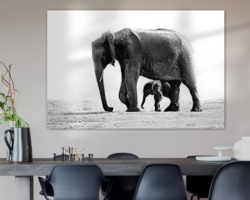 olifant met jong van Henk Langerak