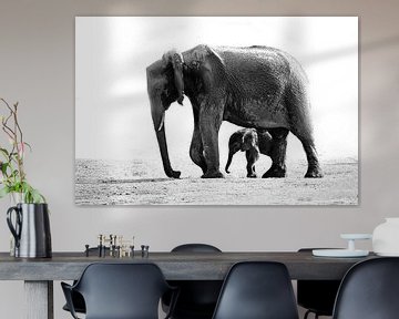 elephant with kid