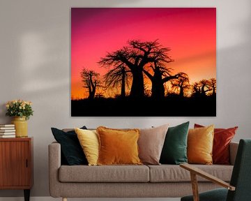Sonnenuntergang Afrika von Omega Fotografie