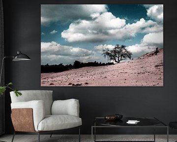 Landschap Beekhuizer Zand