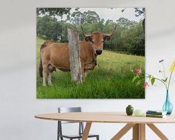Prachtige koe in Asturias van Janna Dijkstra