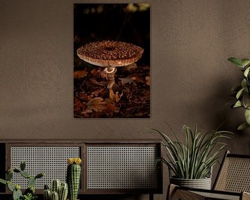 Fly agaric by Louise Poortvliet