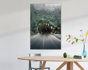 Krokodil Tunnel surreal art van Martijn Schrijver