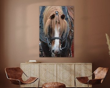 Op de ouderwetse manier. von aj zuidema