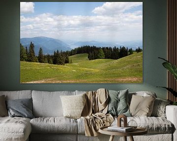 Villacher Alpstrasse auf dem Dobratsch, Kärnten, Bergseeblick von Jani Moerlands