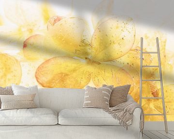 Hydrangea in EIs 3 by Marc Heiligenstein