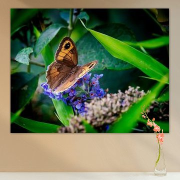 Brown sandpiper on purple flower bush by Alice's Pictures