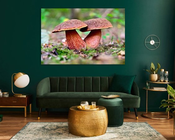 Aperçu de la chambre