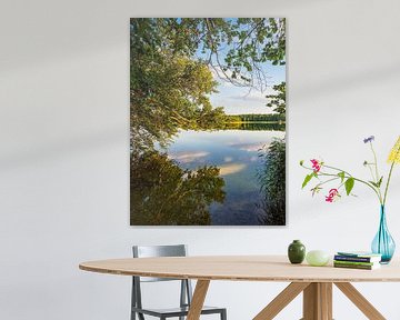 Ausblick mit See und Bäumen in Seedorf am Schaalsee von Rico Ködder