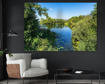 View with lake and trees in Stintenburg am Schaalsee by Rico Ködder