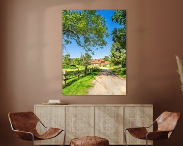 House with road and trees on the island of Kampenwerder in the Schaa