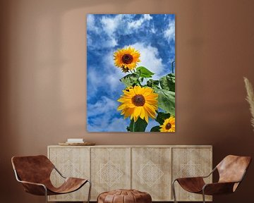 Sunflowers against a blue sky by Photo Art SD