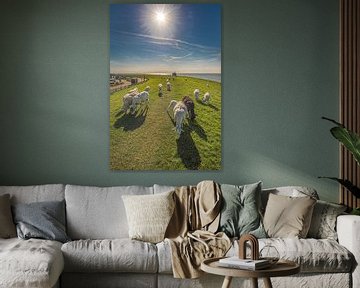 Atmosphère d'été indien sur la digue de Hindeloopen avec des moutons fraîchement tondus sur Harrie Muis