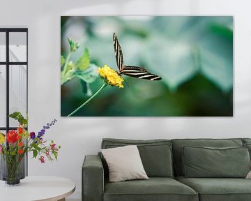 Schmetterling auf gelber Blume von Shanna van Mens Fotografie