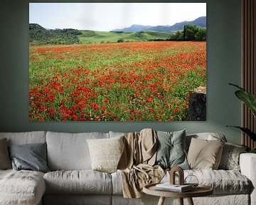 poppies by chris mees