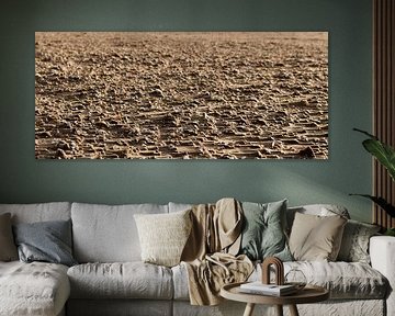 Beach with shells during a storm by John Brugman