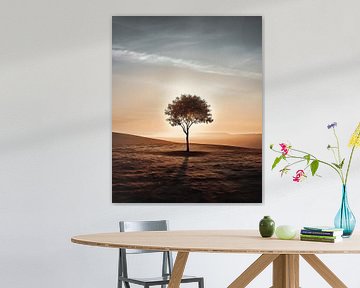 Einsamer Baum im Sonnenuntergang