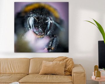 Bumblebee Portrait van Shanna van Mens Fotografie