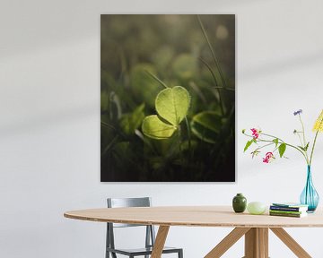 Clover dark and moody green by Sandra Hazes