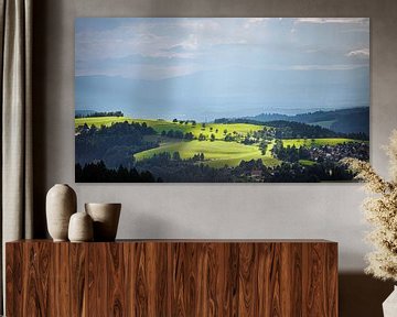 Black Forest view by Omri Raviv