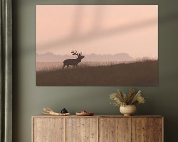 Red deer in the mist during sunset on the Veluwe. by Patrick van Os